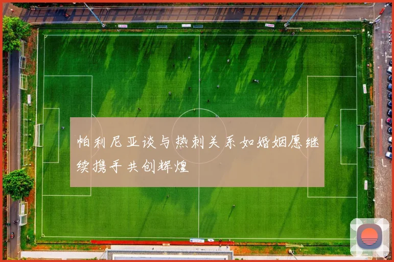 帕利尼亚谈与热刺关系如婚姻愿继续携手共创辉煌