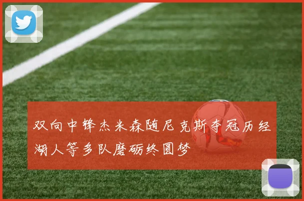 双向中锋杰米森随尼克斯夺冠历经湖人等多队磨砺终圆梦
