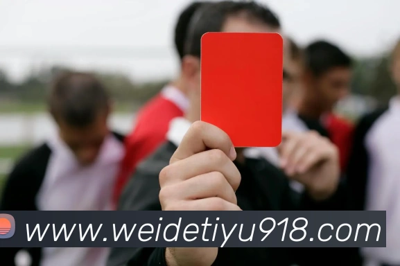 韦德体育品牌故事