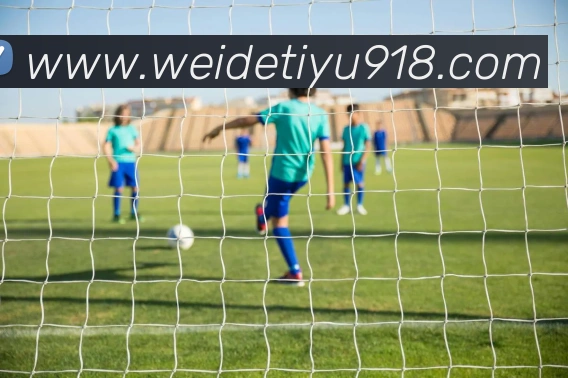 韦德体育服务体系