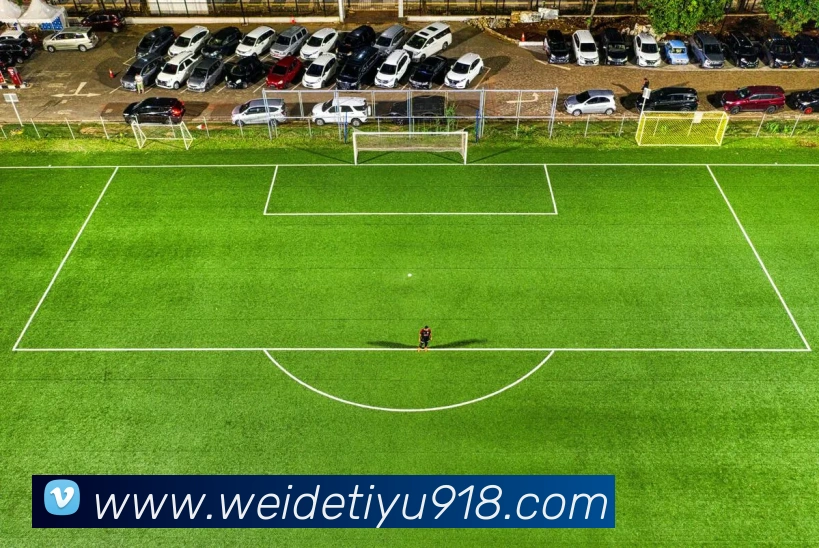 多媒体互动体验