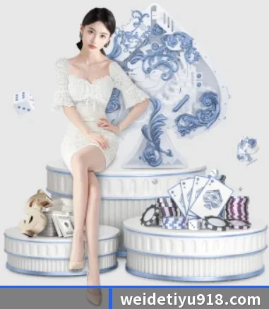 品牌诞生 - 韦德体育品牌正式登场,持有顶级运营资质,树立行业标杆。